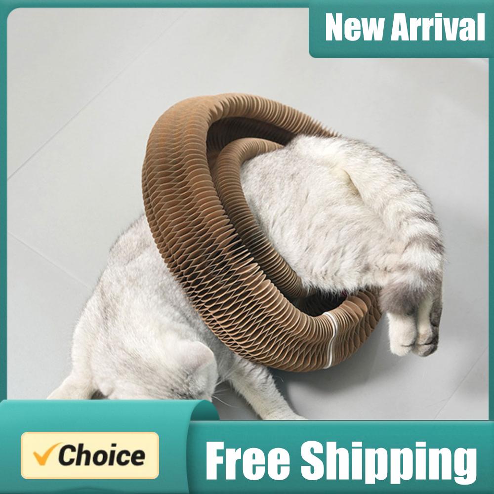 Cat Tunnel Toy - Magic Organ Cat Scratching Board Cat