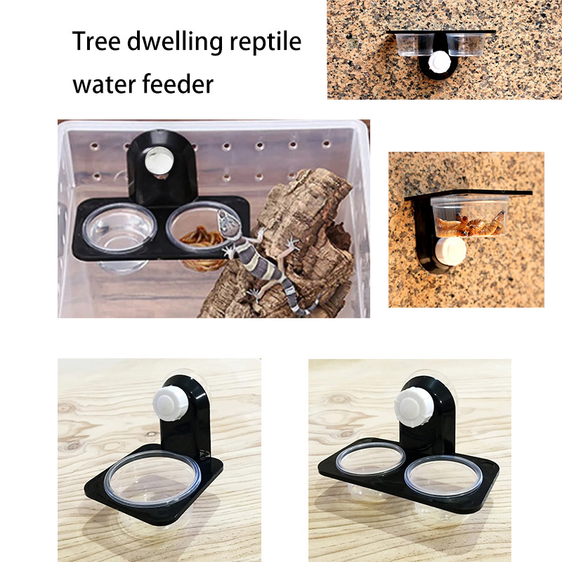Pet Supplies Is Food - Reptile Tank Accessories Insect Spider Ants