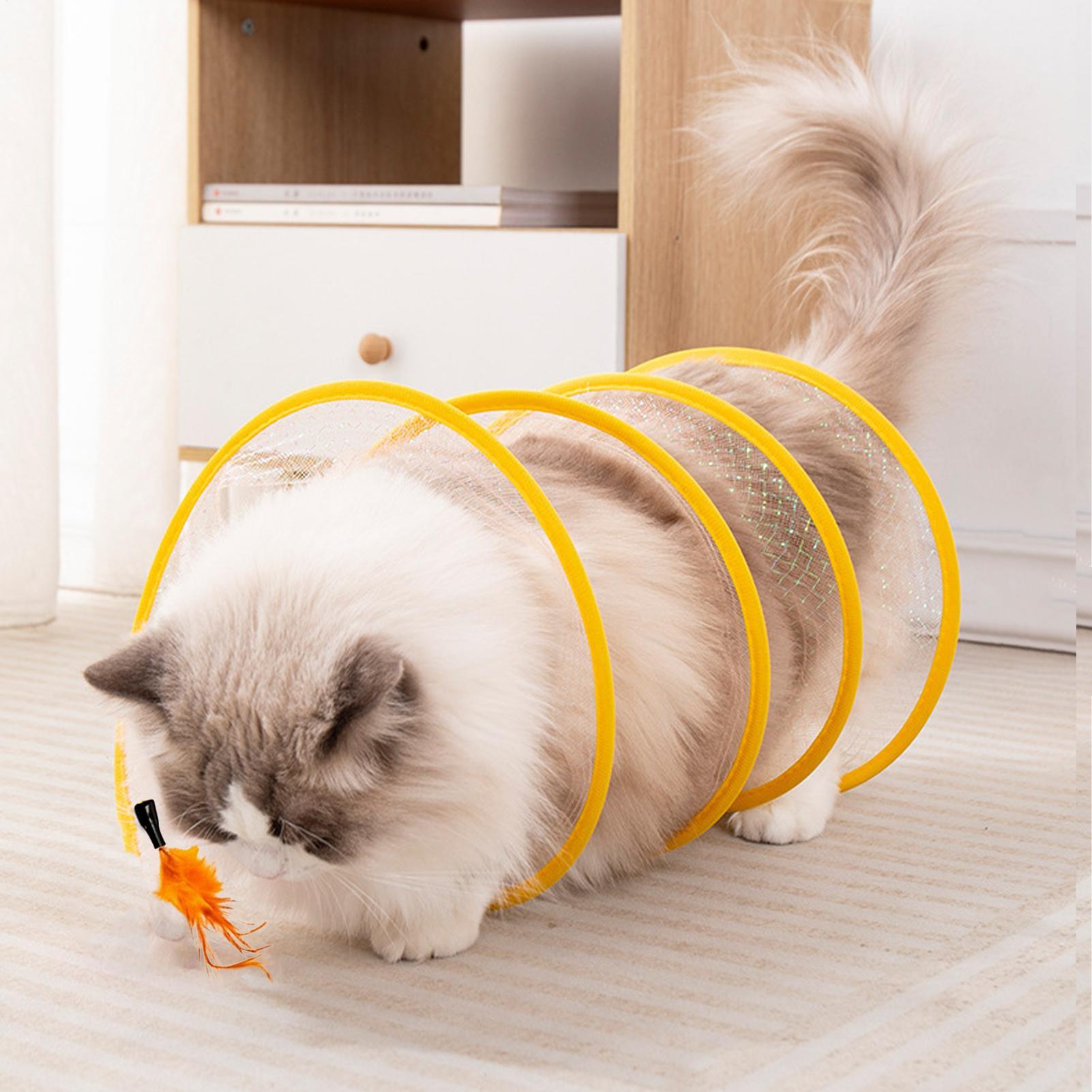 Cat Toy Tunnel Self Play Folda - đánh giá và giá Cat Tunnel Toy