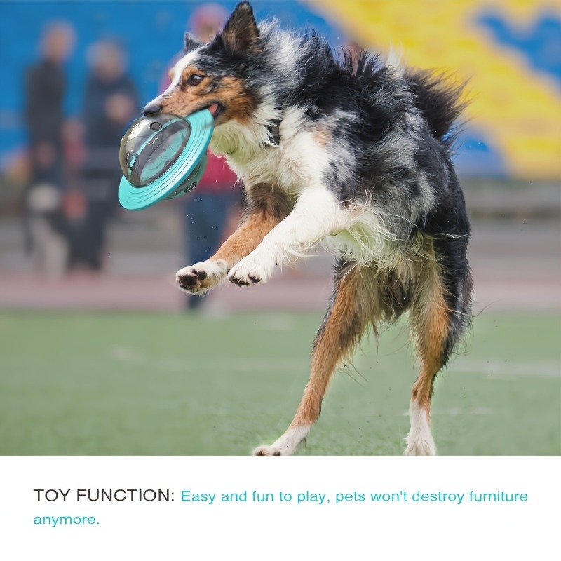 Interactive Design Dog Ball To - đánh giá và giá Dog Treat Puzzle Toy