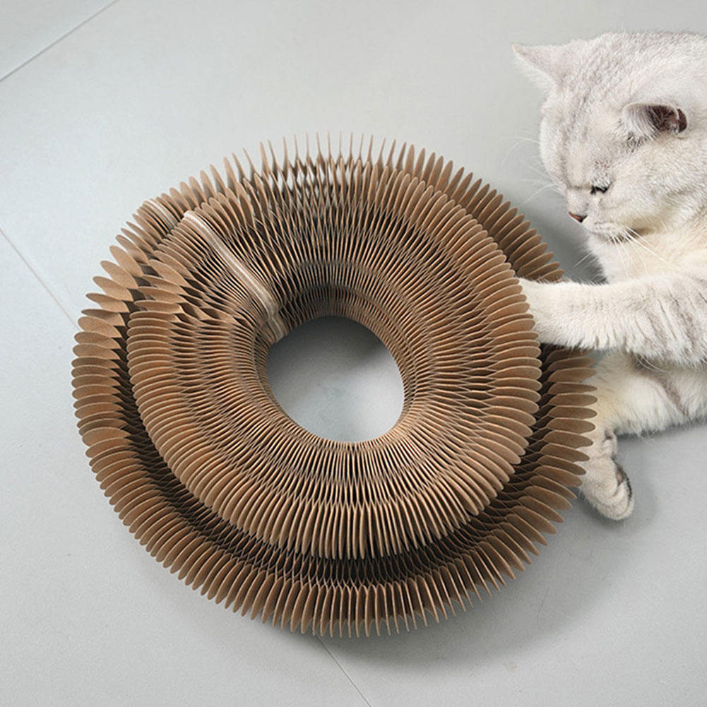 Magic Organ Cat Scratching Boa - đánh giá và giá Cat Tunnel Toy