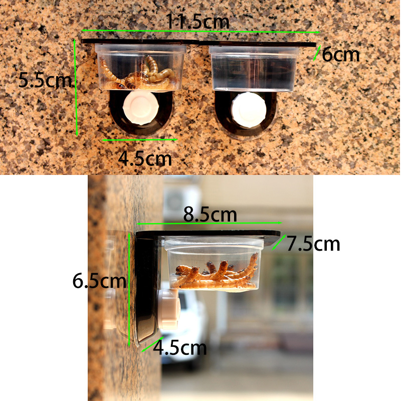 Reptile Tank Accessories Insec - đánh giá và giá Pet Supplies Is Food
