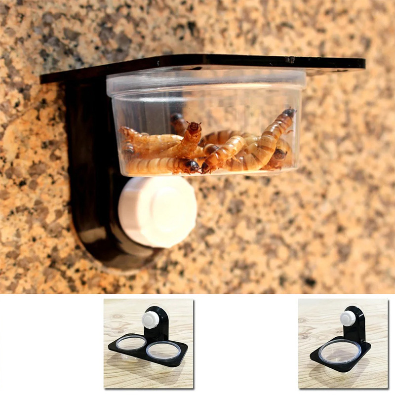 Reptile Tank Accessories Insec - đánh giá và giá Pet Supplies Is Food
