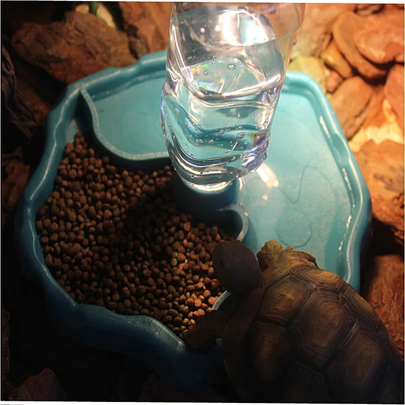 Pet Reptile Feeder 2 in 1 Auto - đánh giá và giá Pet Supplies Is Food
