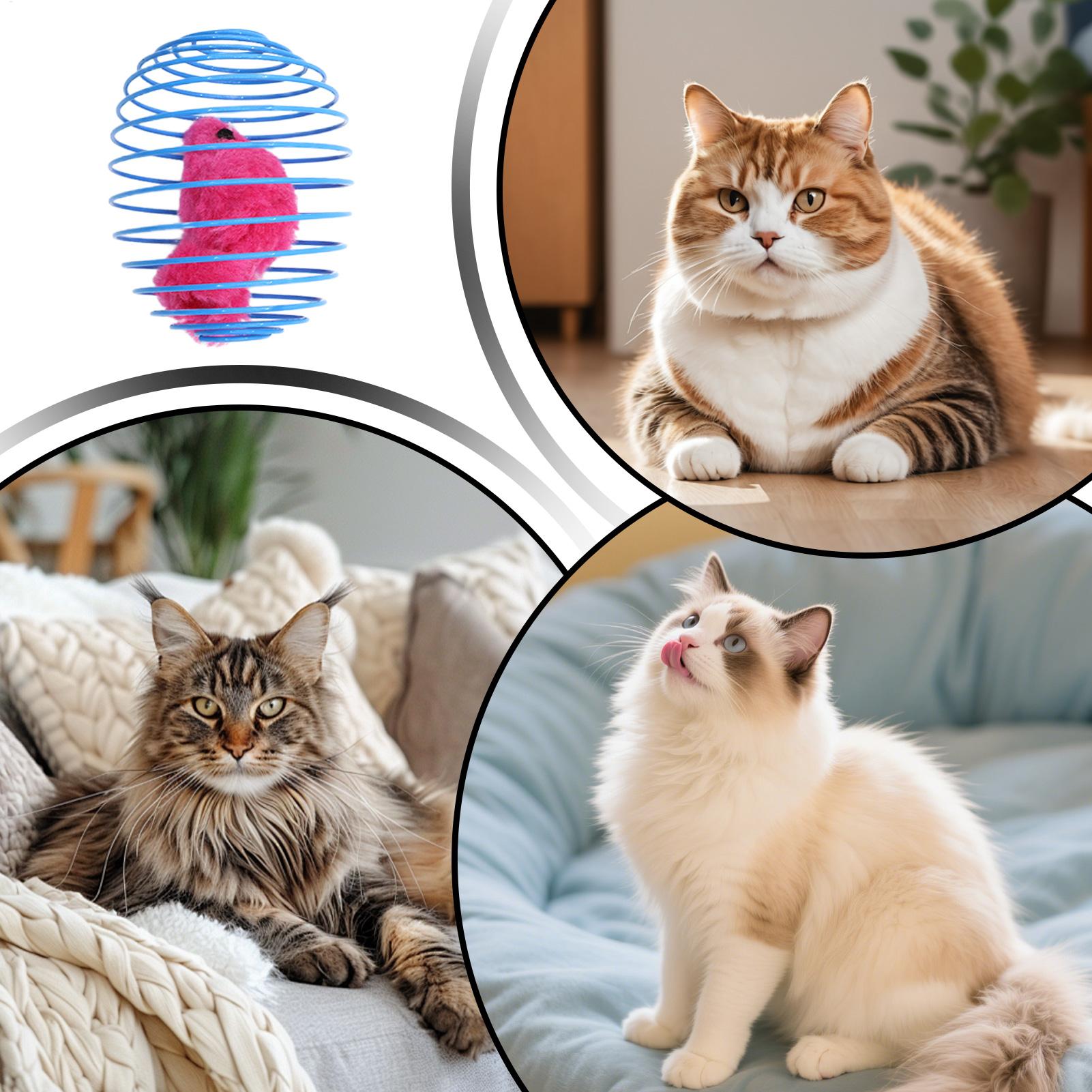 Cat Spiral Toy Interactive Fun - đánh giá và giá Cat Tunnel Toy