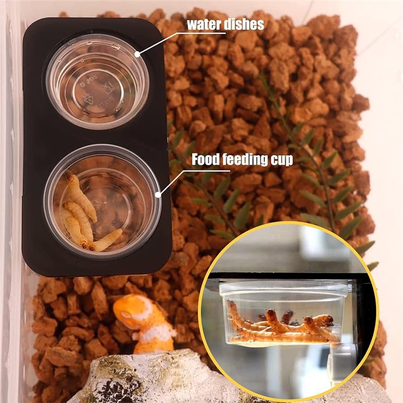 Crested Gecko Food And Water F - đánh giá và giá Pet Supplies Is Food